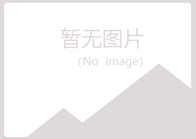 四川晓夏咨询有限公司